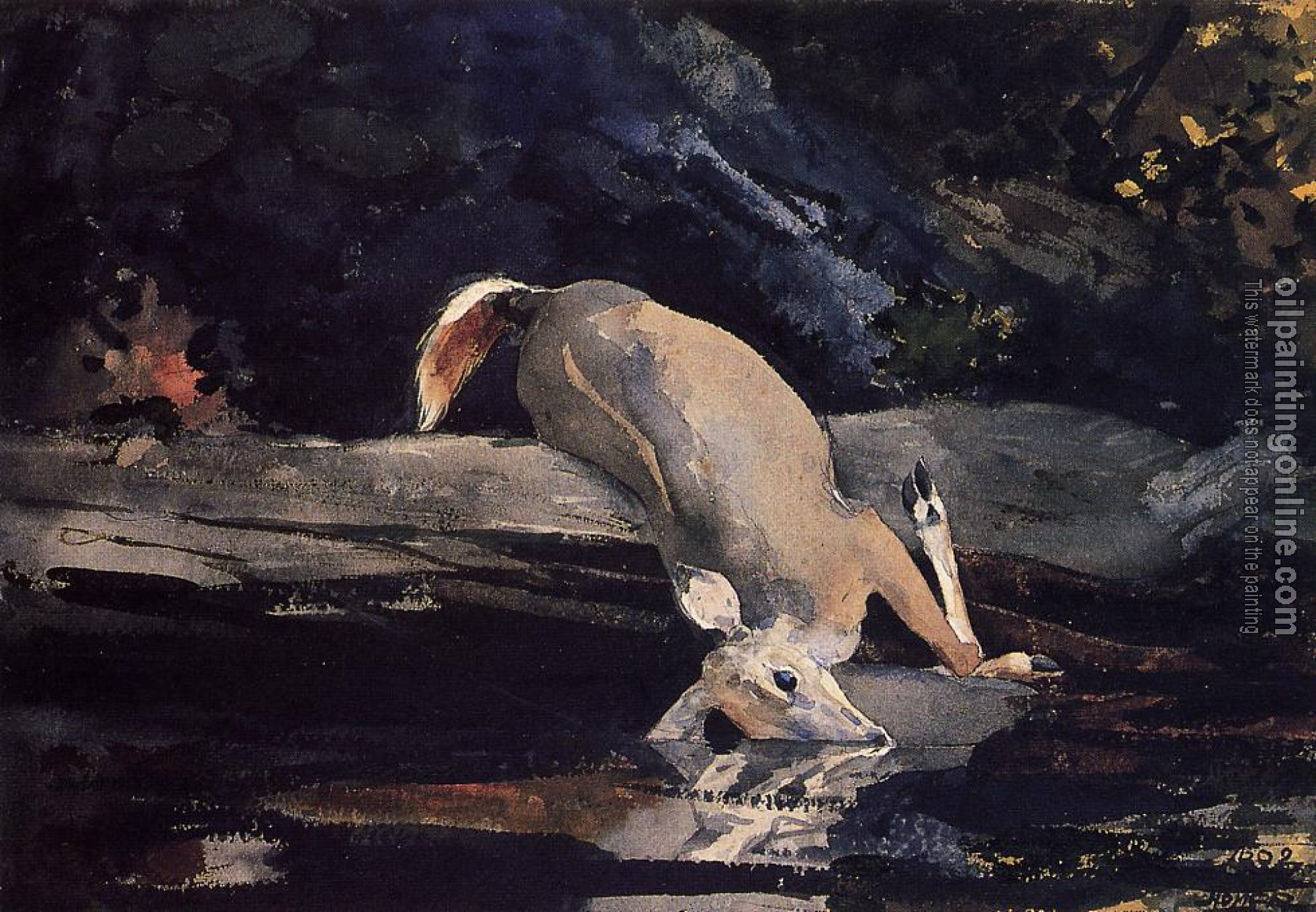 Homer, Winslow - Fallen Deer